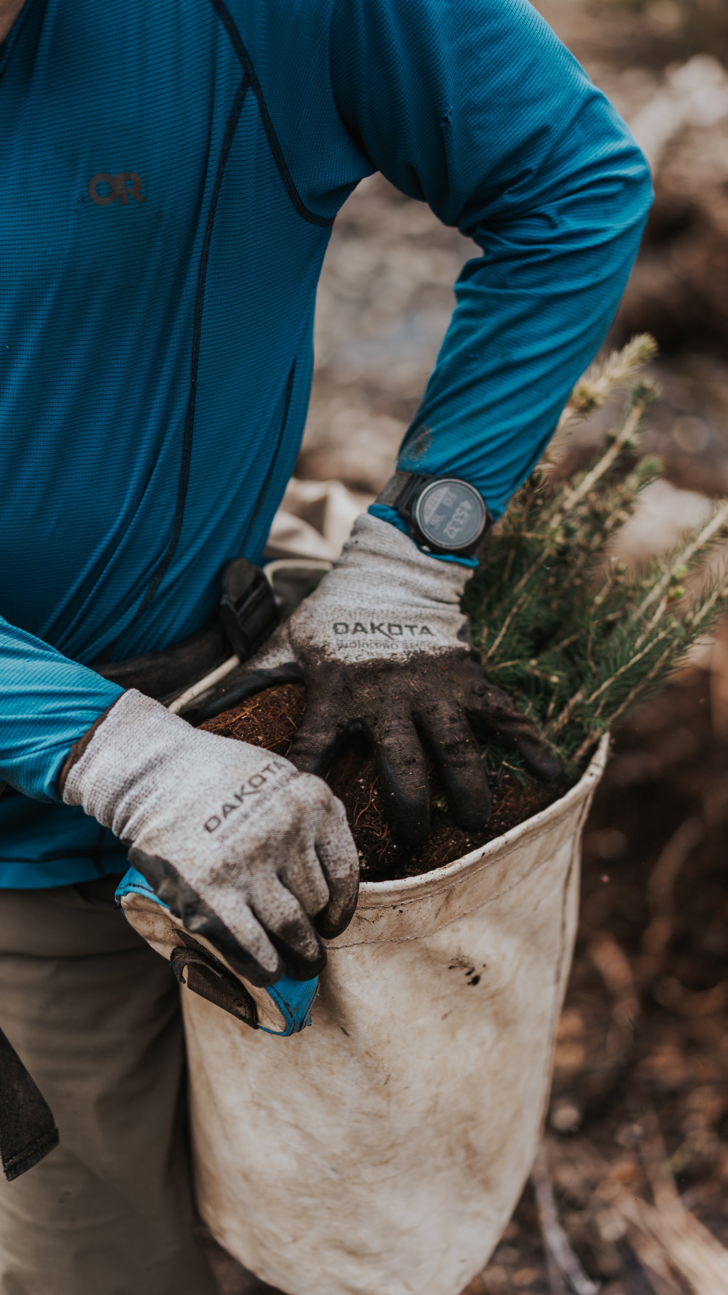 PLANT TREES WITH US