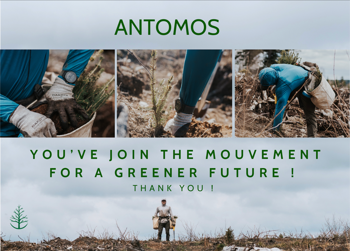PLANT TREES WITH US